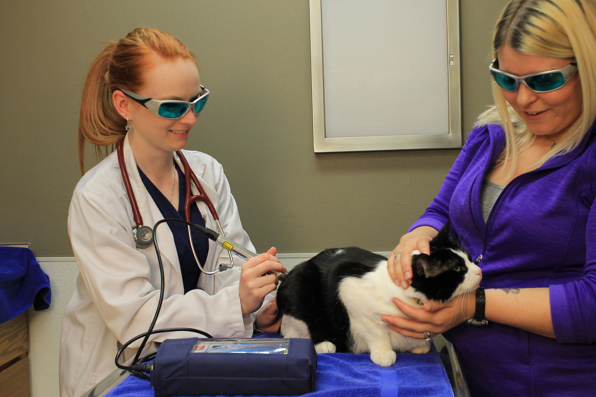 Laser Therapy  Munster, IN 